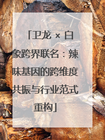 卫龙 × 白象跨界联名：辣味基因的跨维度共振与行业范式重构