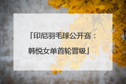 印尼羽毛球公开赛：韩悦女单首轮晋级