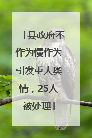 县政府不作为慢作为引发重大舆情，25人被处理