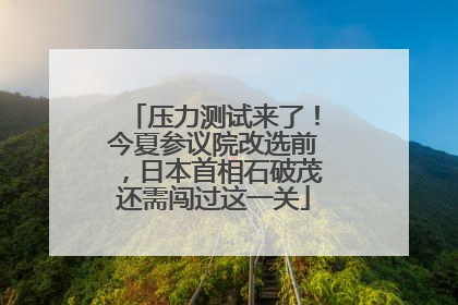 压力测试来了！今夏参议院改选前，日本首相石破茂还需闯过这一关