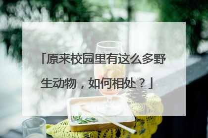 原来校园里有这么多野生动物，如何相处？