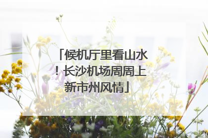 候机厅里看山水！长沙机场周周上新市州风情