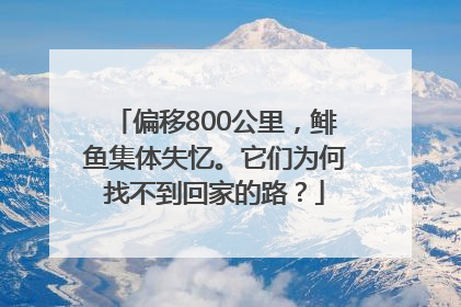 偏移800公里，鲱鱼集体失忆。它们为何找不到回家的路？