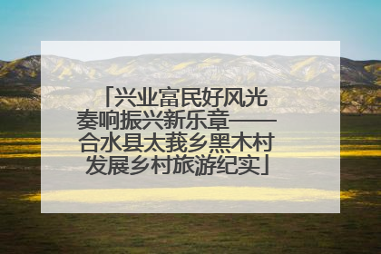 兴业富民好风光 奏响振兴新乐章——合水县太莪乡黑木村发展乡村旅游纪实