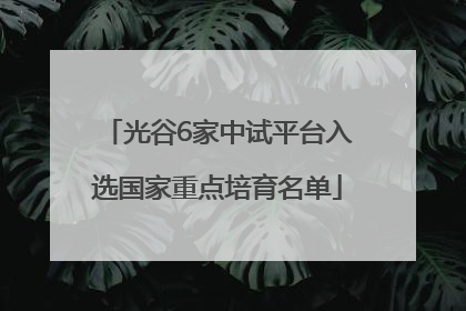 光谷6家中试平台入选国家重点培育名单
