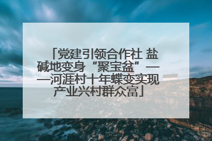 党建引领合作社 盐碱地变身“聚宝盆”——河涯村十年蝶变实现产业兴村群众富