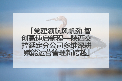 党建领航风帆劲 智创高速启新程—陕西交控延定分公司多维深耕赋能运营管理新跨越