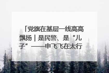 党旗在基层一线高高飘扬｜是民警、是“儿子”——申飞飞在太行山中的一线坚守