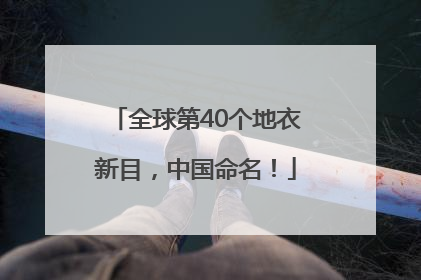 全球第40个地衣新目，中国命名！