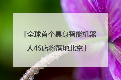 全球首个具身智能机器人4S店将落地北京