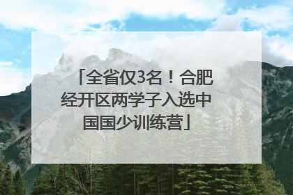 全省仅3名！合肥经开区两学子入选中国国少训练营