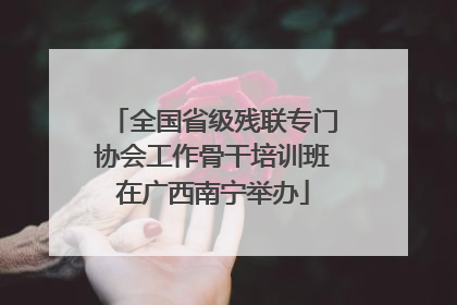 全国省级残联专门协会工作骨干培训班在广西南宁举办
