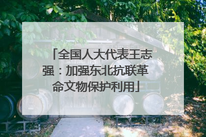 全国人大代表王志强：加强东北抗联革命文物保护利用