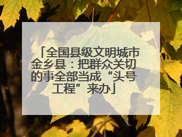全国县级文明城市金乡县：把群众关切的事全部当成“头号工程”来办