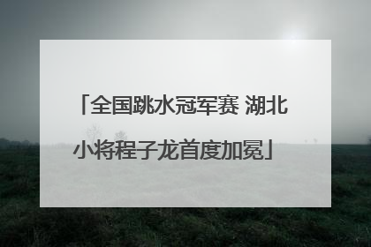 全国跳水冠军赛 湖北小将程子龙首度加冕