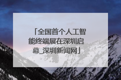 全国首个人工智能终端展在深圳启幕_深圳新闻网