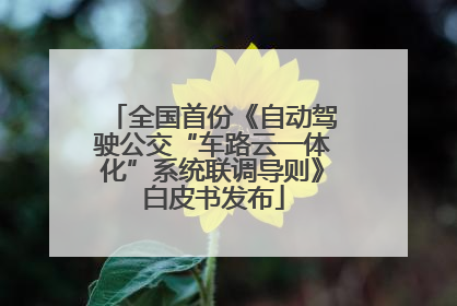 全国首份《自动驾驶公交“车路云一体化”系统联调导则》白皮书发布