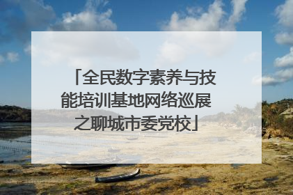 全民数字素养与技能培训基地网络巡展之聊城市委党校