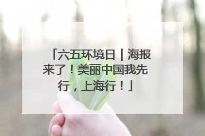 六五环境日｜海报来了！美丽中国我先行，上海行！
