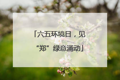 六五环境日，见“郑”绿意涌动