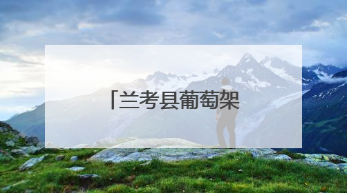 兰考县葡萄架乡赵垛楼村：乡村电商里的“甜蜜”创业路