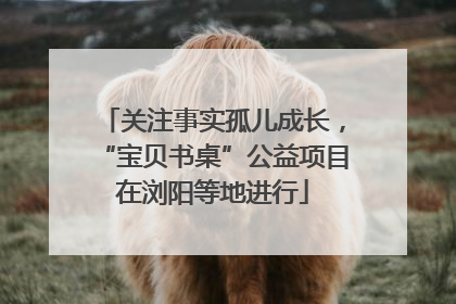 关注事实孤儿成长，“宝贝书桌”公益项目在浏阳等地进行