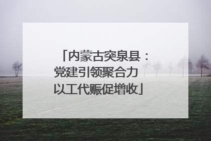 内蒙古突泉县：党建引领聚合力 以工代赈促增收