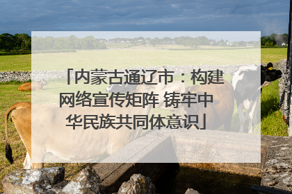 内蒙古通辽市：构建网络宣传矩阵 铸牢中华民族共同体意识