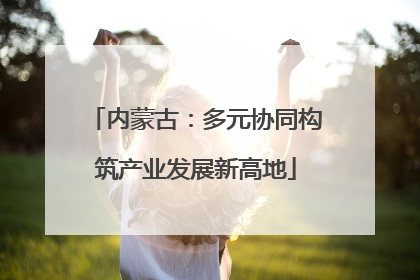 内蒙古：多元协同构筑产业发展新高地