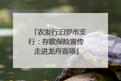 农发行汨罗市支行：存款保险宣传走进龙舟赛场