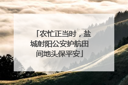 农忙正当时，盐城射阳公安护航田间地头保平安