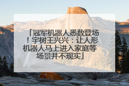 冠军机器人悉数登场！宇树王兴兴：让人形机器人马上进入家庭等场景并不现实