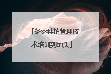 冬枣种植管理技术培训到地头