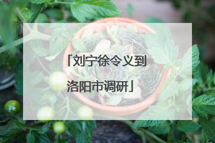 刘宁徐令义到洛阳市调研