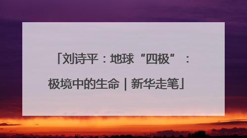 刘诗平：地球“四极”：极境中的生命｜新华走笔