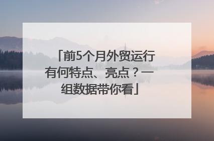 前5个月外贸运行有何特点、亮点？一组数据带你看