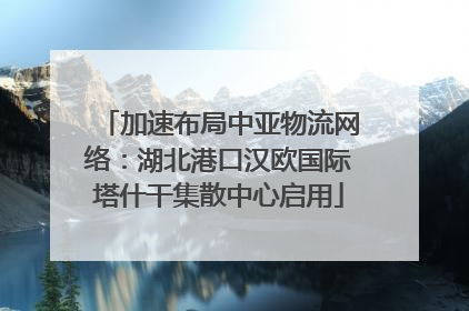 加速布局中亚物流网络：湖北港口汉欧国际塔什干集散中心启用