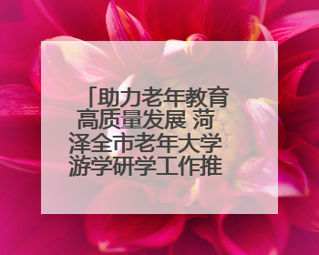 助力老年教育高质量发展 菏泽全市老年大学游学研学工作推进会召开