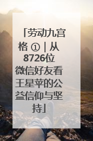 劳动九宫格 ①｜从8726位微信好友看王星苹的公益信仰与坚持