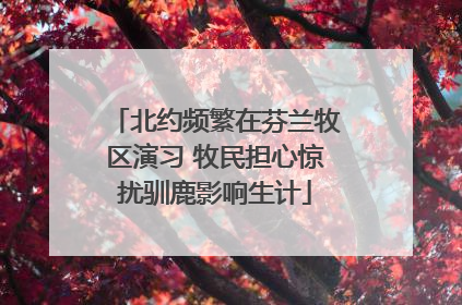 北约频繁在芬兰牧区演习 牧民担心惊扰驯鹿影响生计