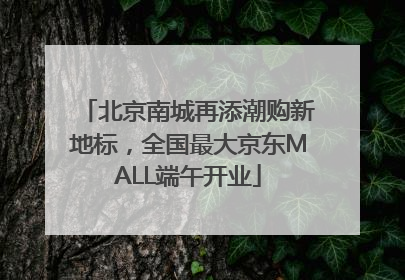 北京南城再添潮购新地标，全国最大京东MALL端午开业