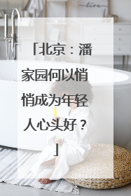 北京：潘家园何以悄悄成为年轻人心头好？