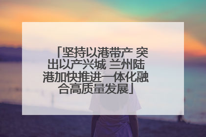 坚持以港带产 突出以产兴城 兰州陆港加快推进一体化融合高质量发展