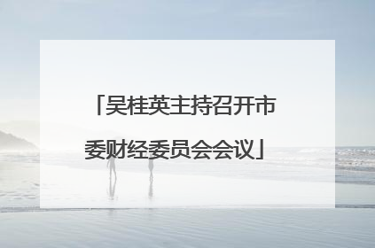 吴桂英主持召开市委财经委员会会议