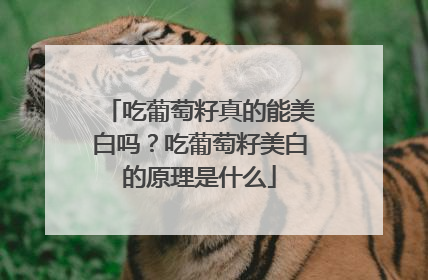 吃葡萄籽真的能美白吗？吃葡萄籽美白的原理是什么