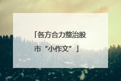 各方合力整治股市“小作文”
