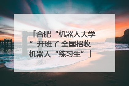 合肥“机器人大学”开班了 全国招收机器人“练习生”