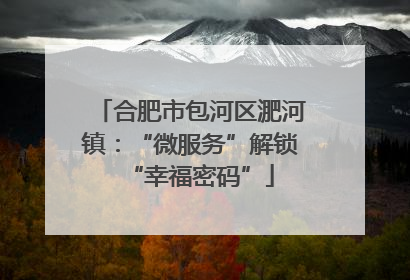 合肥市包河区淝河镇：“微服务”解锁“幸福密码”