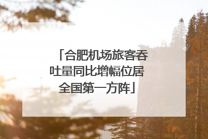 合肥机场旅客吞吐量同比增幅位居全国第一方阵