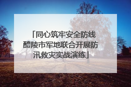 同心筑牢安全防线 醴陵市军地联合开展防汛救灾实战演练